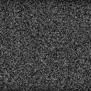 動画「Signal」のワンシーン