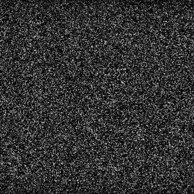 動画「Signal」のワンシーン