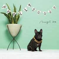 MONGOL800「Pretty good!!」ジャケット