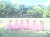 レッツポコポコ