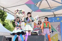 ロッカジャポニカ