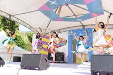 チームしゃちほこ