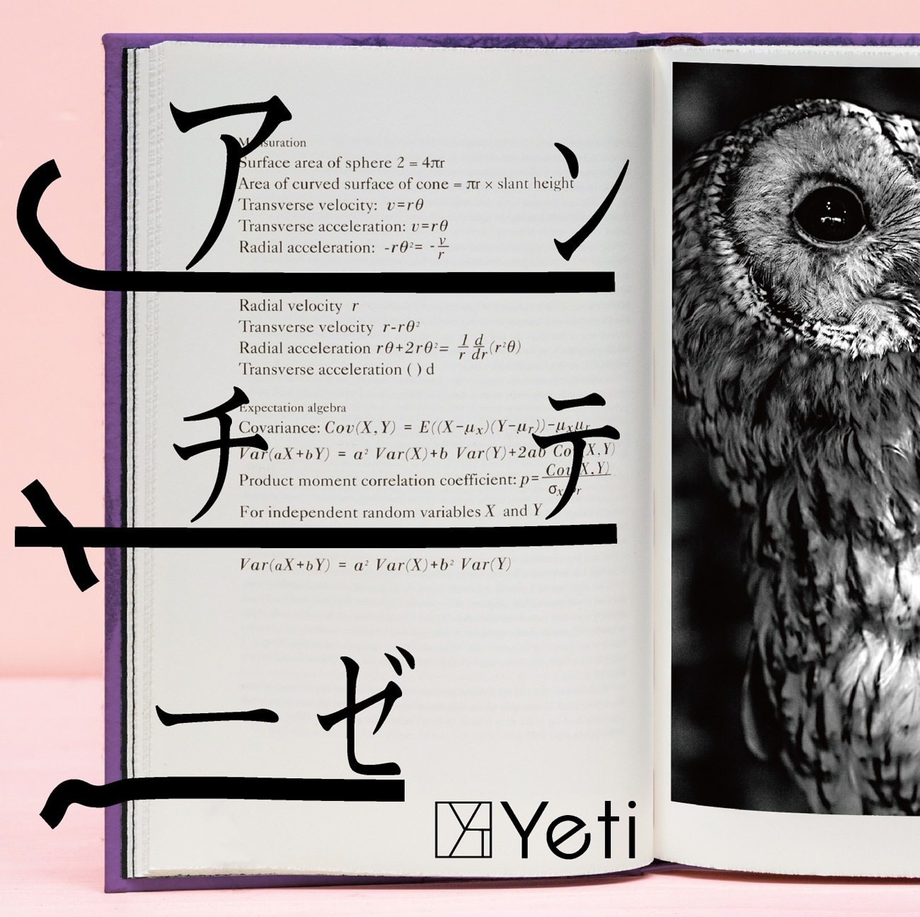 Yeti「アンチテーゼ」ジャケット