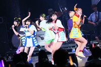 でんぱ組.inc（写真提供：ディアステージ）