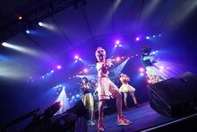 TEMPURA KIDZ（写真提供：rockin'on japan）