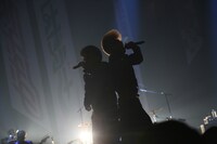 左から早乙女光、綾小路翔。（写真提供：ディアステージ）