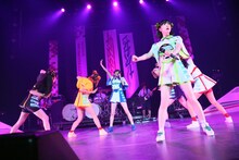 でんぱ組.inc（写真提供：ディアステージ）