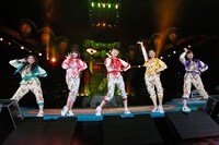 ももいろクローバーZ「桃神祭 2016 ～鬼ヶ島～」の様子。 （Photo by HAJIME KAMIIISAKA+Z）