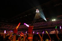 ももいろクローバーZ「桃神祭 2016 ～鬼ヶ島～」初日公演の様子。（Photo by HAJIME KAMIIISAKA+Z）