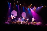 ふくろうずレコ発ライブ「だって、わたしたちエバーグリーンワンマン」の様子。(撮影:中島未来)