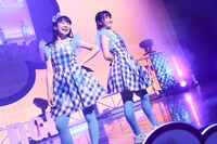 リーフシトロン（撮影：笹森健一）