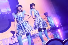 リーフシトロン（撮影：笹森健一）