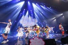 「3B junior 浅草大歌謡ショー～2016年 リベンジの夏～」の様子。（撮影：笹森健一）