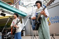 さくらしめじ（撮影：ハヤシサトル）