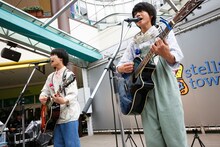 さくらしめじ（撮影：ハヤシサトル）