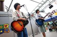 さくらしめじ（撮影：ハヤシサトル）