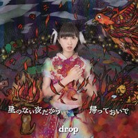 drop「星のない夜だから / 帰っておいで」Type Bジャケット