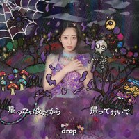 drop「星のない夜だから / 帰っておいで」Type Fジャケット