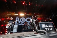 Plastic Tree（写真提供：rockin'on japan）
