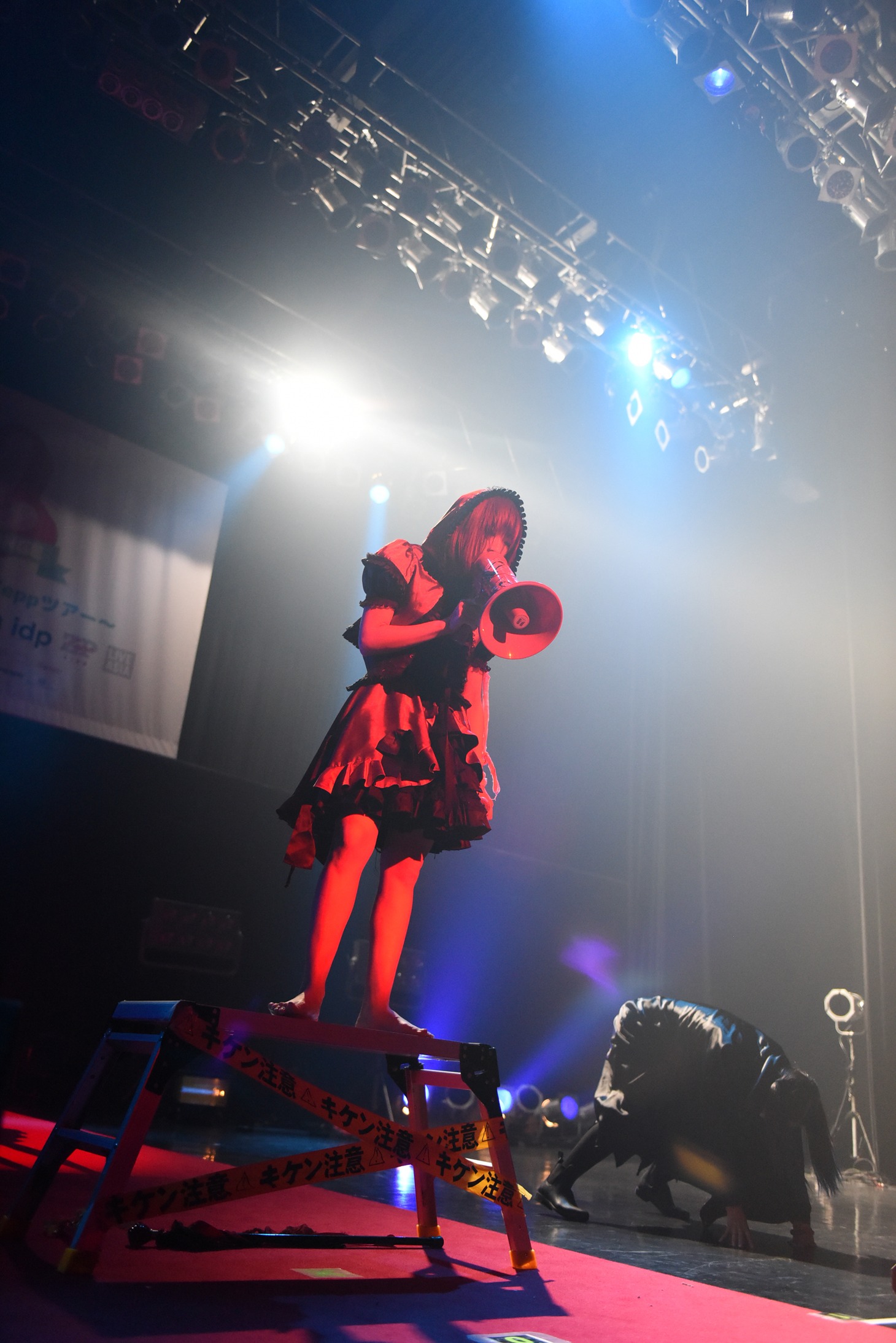 椎名ぴかりんによるライブの様子。