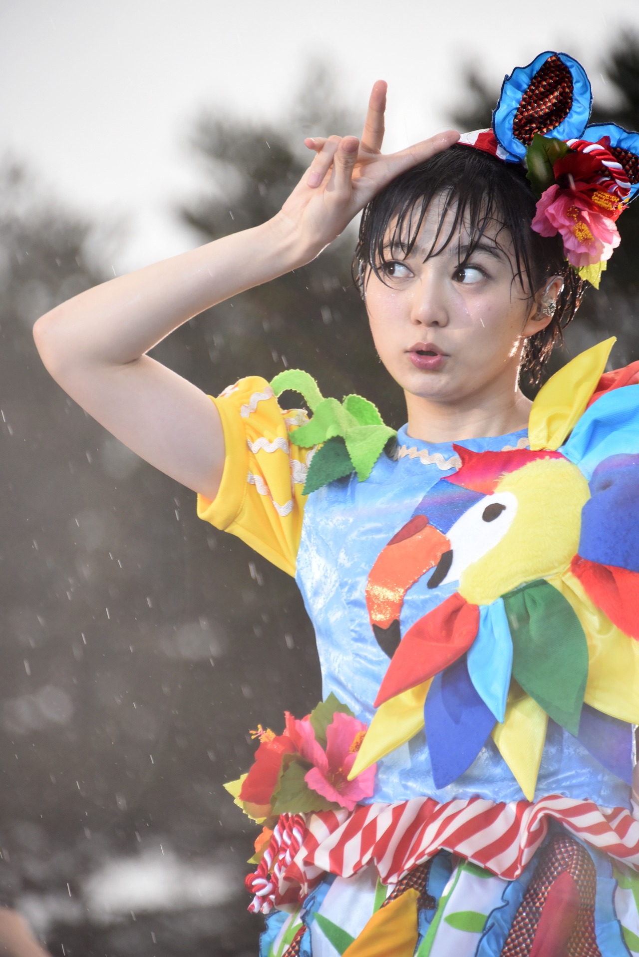 安本彩花