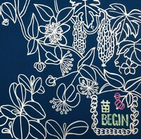 BEGIN「苗」ジャケット