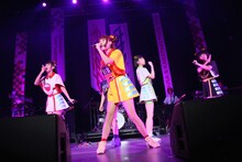 でんぱ組.inc（写真提供：ディアステージ）