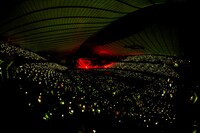 「JUNHO（From 2PM）Solo Tour 2016 "HYPER"」最終公演の様子。（写真提供：EPICレコード）