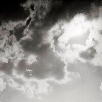 きのこ帝国「夏の影」配信ジャケット