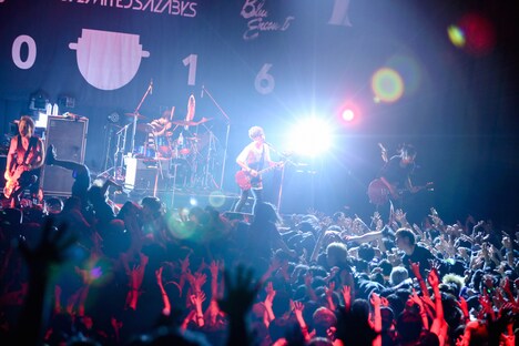 BLUE ENCOUNT（Photo by Viola Kam [V'z Twinkle]）