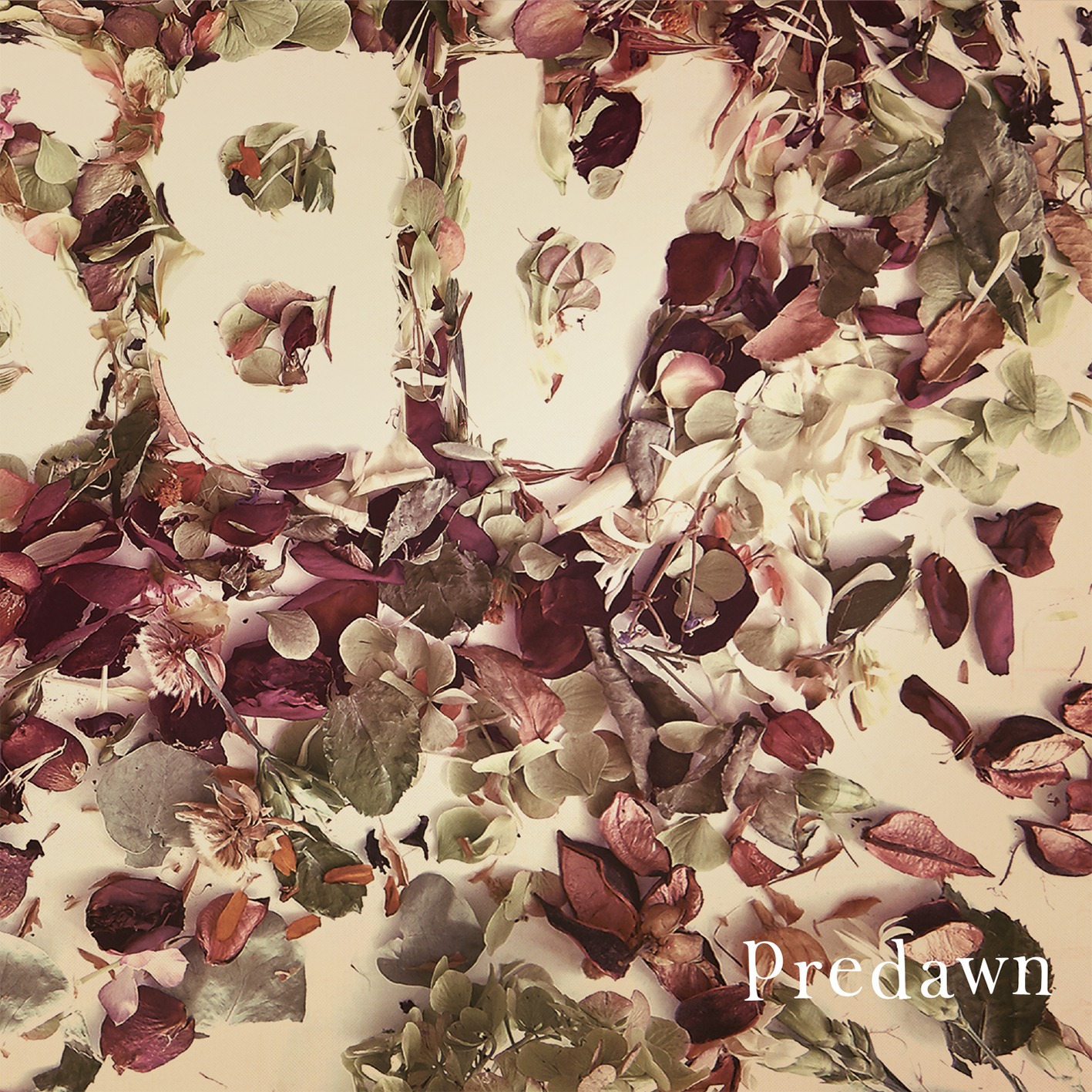 Predawn「Absence」ジャケット