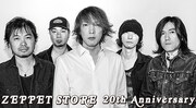 ZEPPET STORE
