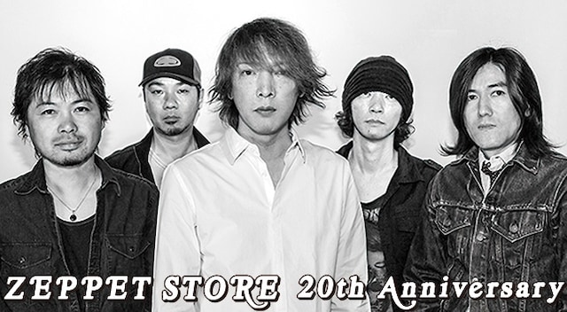 ZEPPET STORE