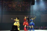 チームしゃちほこ「しゃちサマ2016 真夏のPOWER BALL」の様子。