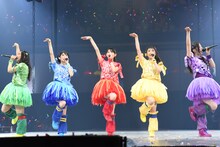 チームしゃちほこ「しゃちサマ2016 真夏のPOWER BALL」の様子。