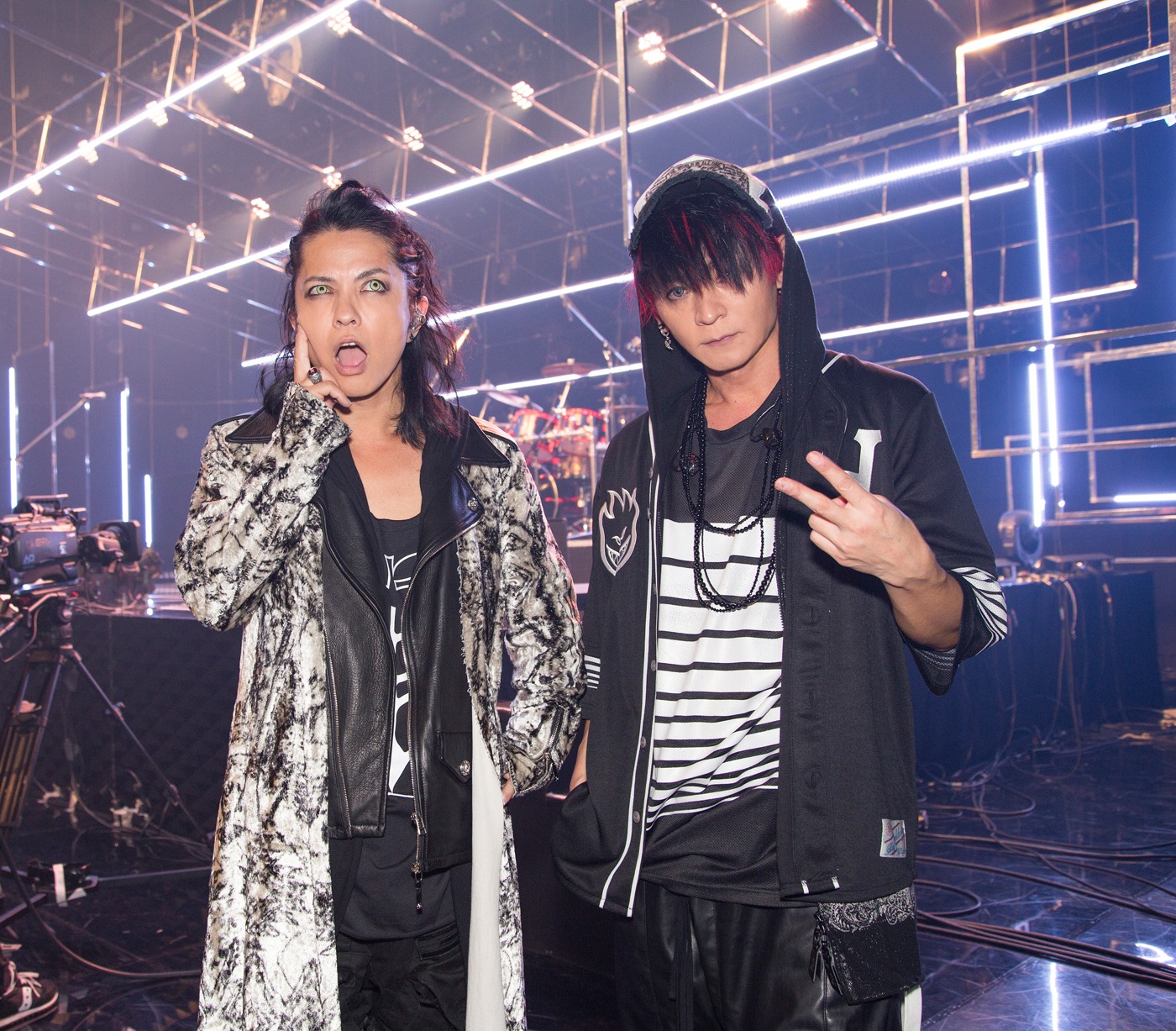 VAMPS