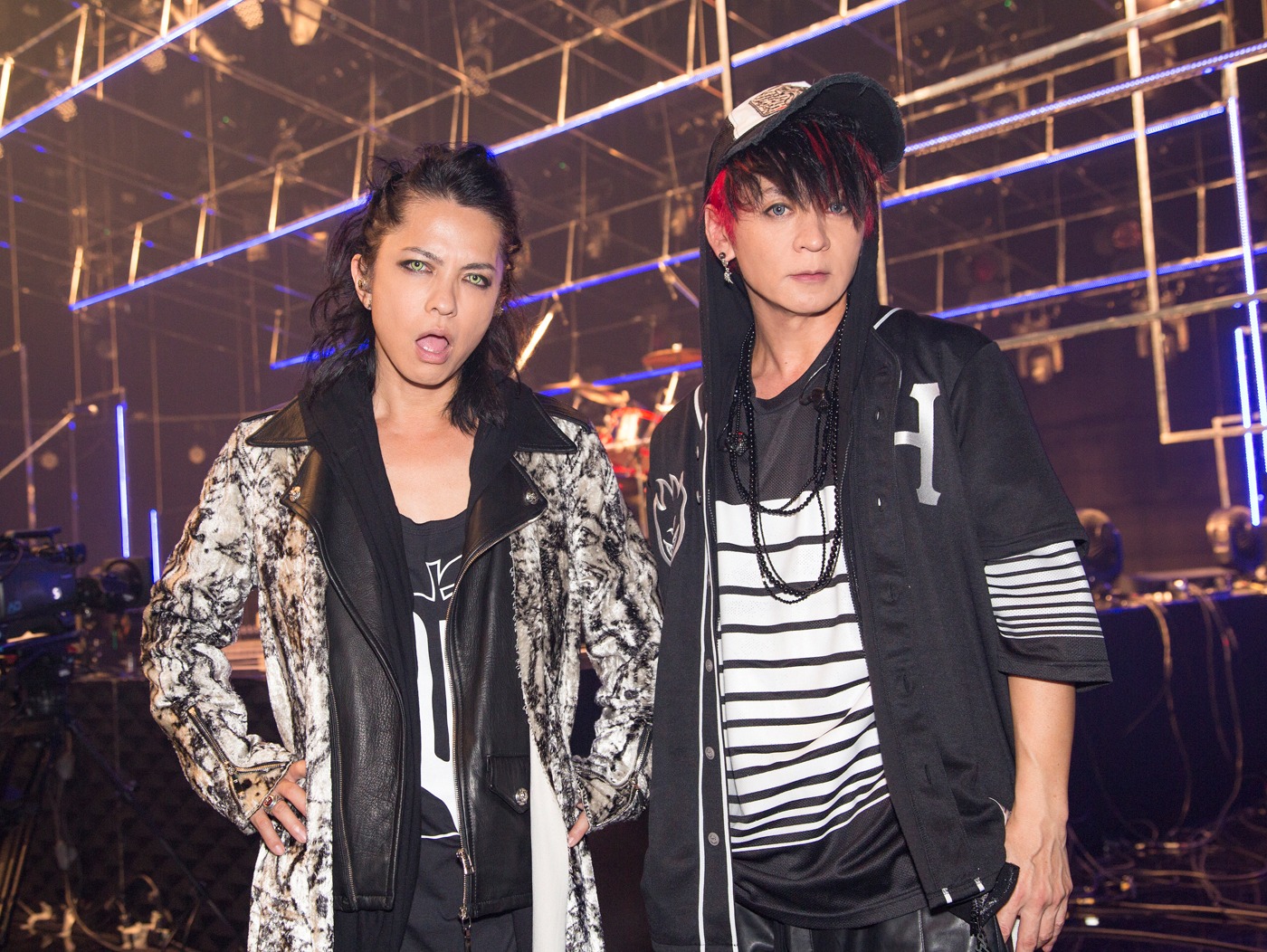 VAMPS