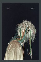 illion「P.Y.L」初回限定盤ジャケット