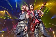 GRANRODEO「GRANRODEO LIVE TOUR 2016 TREASURE CANDY」愛知・Zepp Nagoya公演の様子。(撮影:新澤和久)