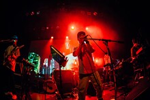 cero（撮影：Ray Otabe）