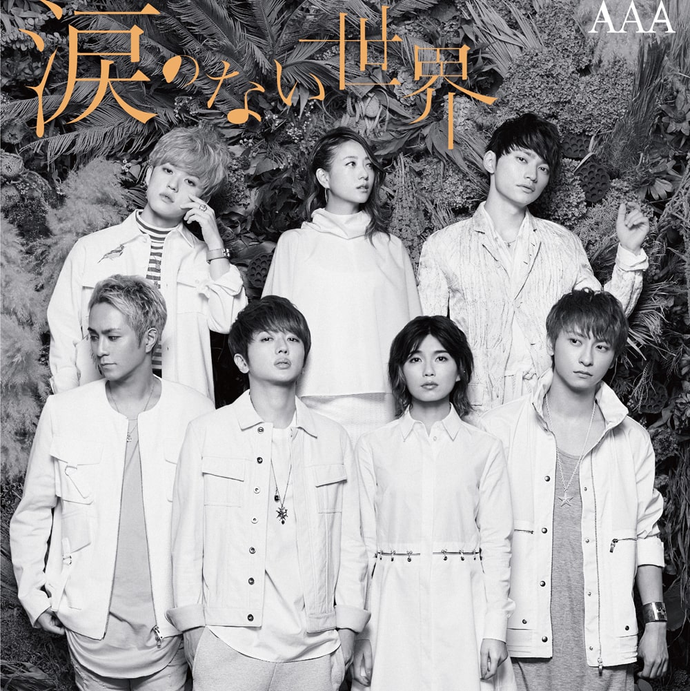 AAA CD （AAAのCD•DVD、嵐のCD•DVD、Kis-My-Ft2、KARA） 