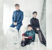 ソナーポケット