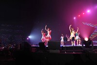 A応P (c) Animelo Summer Live 2016/MAGES.