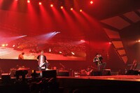 FLOW (c) Animelo Summer Live 2016/MAGES.