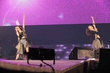 Girls Dead Monster (c) Animelo Summer Live 2016/MAGES.