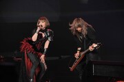 ZAQ feat. 山本陽介 (c) Animelo Summer Live 2016/MAGES.