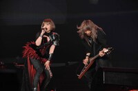 ZAQ feat. 山本陽介 (c) Animelo Summer Live 2016/MAGES.