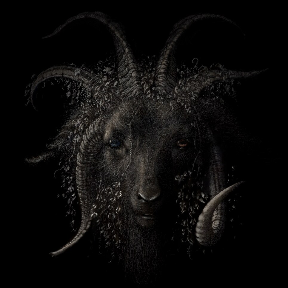 青木裕「Lost in Forest」ジャケット