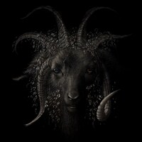 青木裕「Lost in Forest」ジャケット