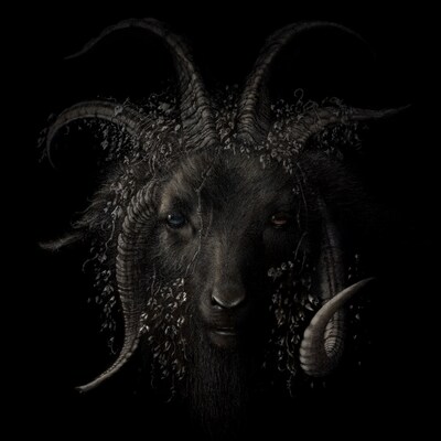 青木裕「Lost in Forest」ジャケット